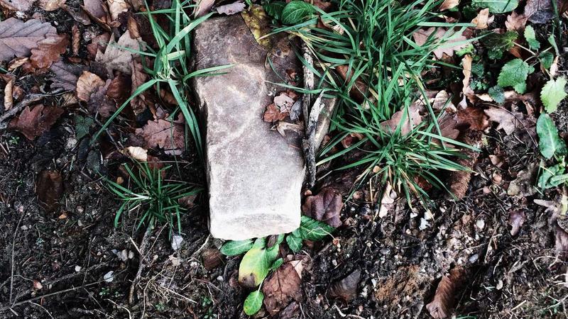 पोस्ट ऑफिस FD बनाम बैंक FD: ₹5 लाख कहाँ लगाएं?